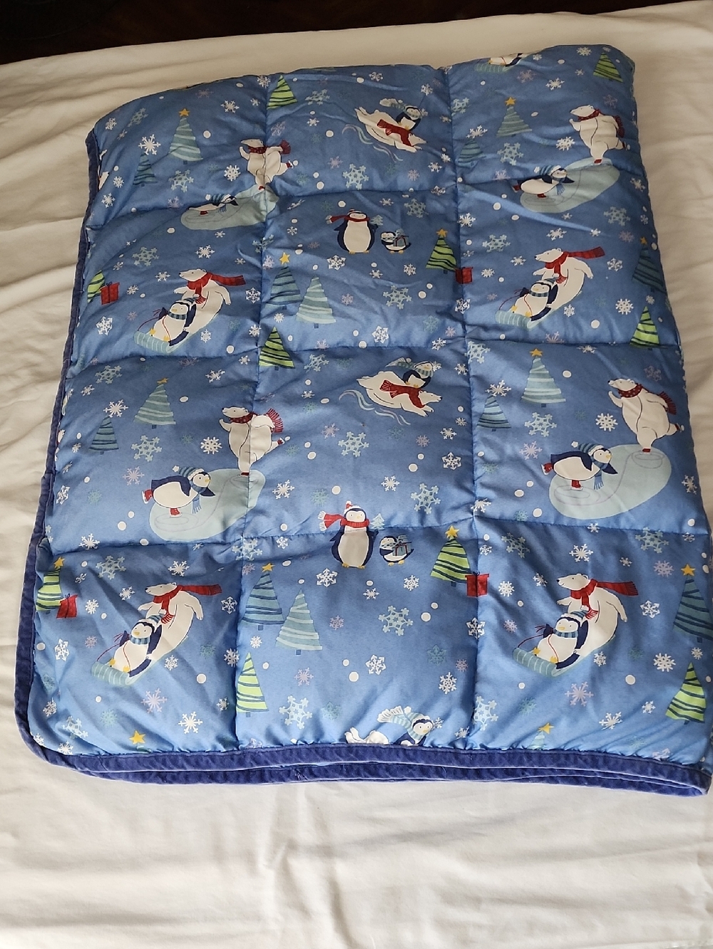 Blue Penguin Holiday Quilted Puffed Throw